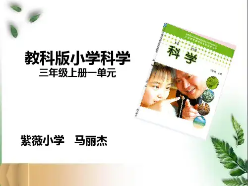 新教科版小学科学三年级上册教材解析PPT课件