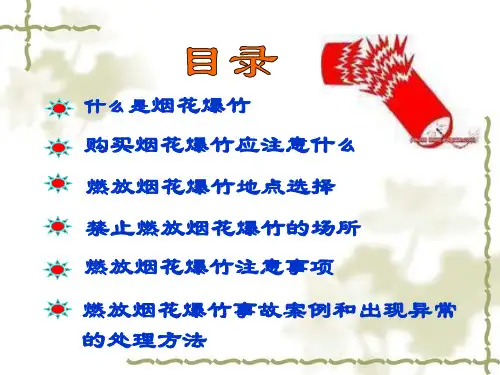 安全燃放烟花爆竹ppt课件