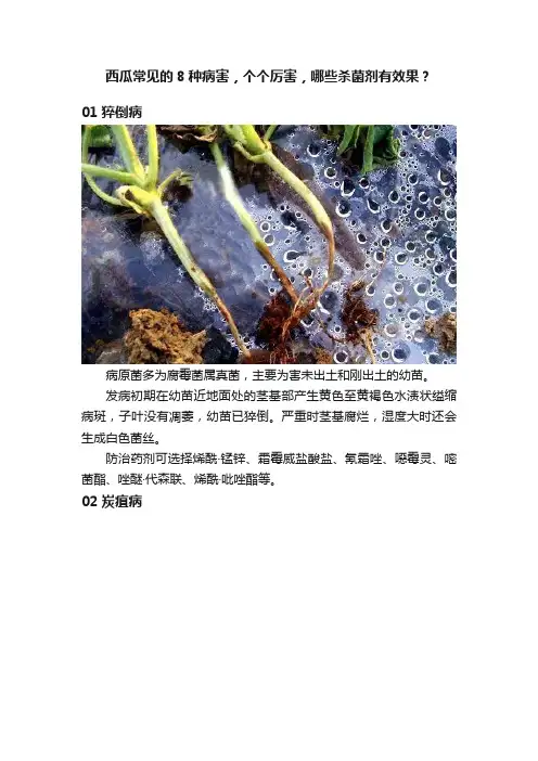西瓜常见的8种病害，个个厉害，哪些杀菌剂有效果？
