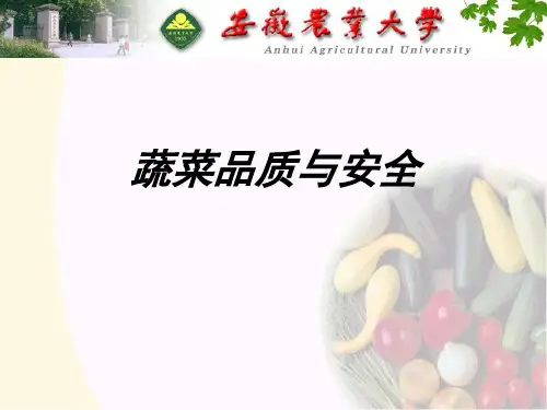 蔬菜品质与安全-第二部分-副本