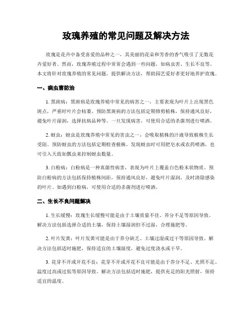 玫瑰养殖的常见问题及解决方法
