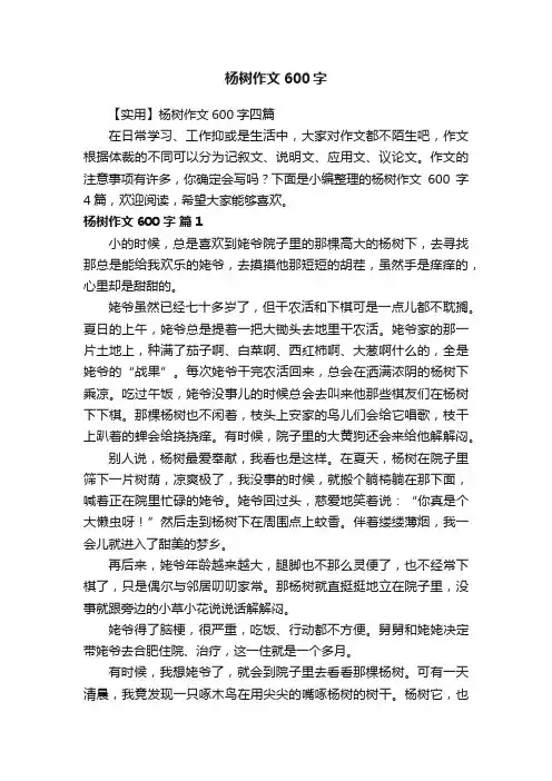 杨树作文600字