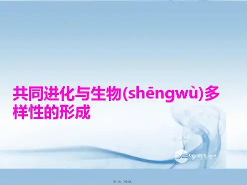高中生物《 7.2.3 共同进化与生物多样性的形成》课件2 新人教版必修2