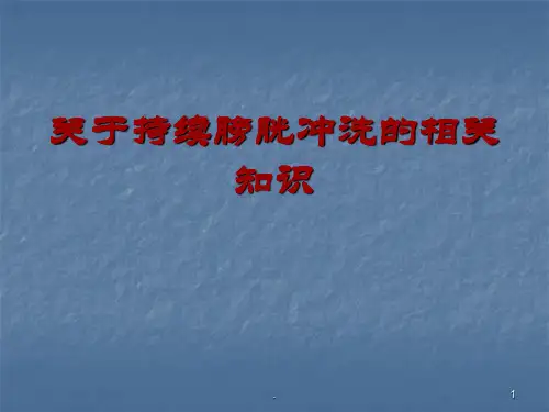 持续膀胱冲洗精选PPT
