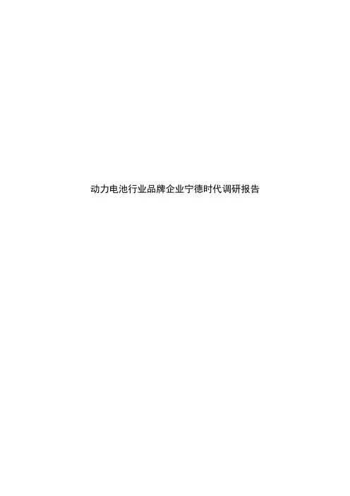 动力电池行业品牌企业宁德时代调研报告