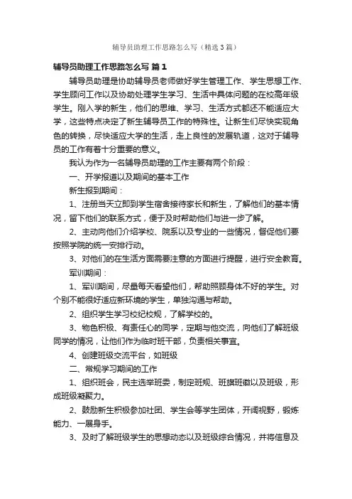 辅导员助理工作思路怎么写（精选3篇）