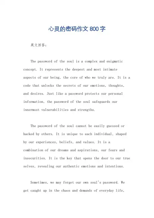 心灵的密码作文800字