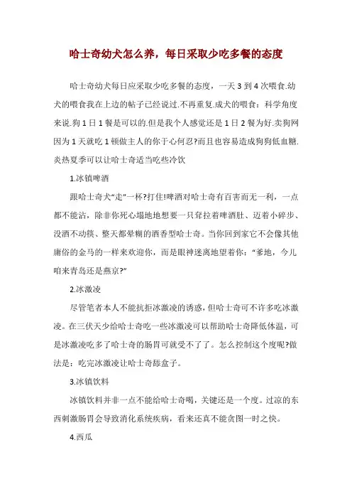 哈士奇幼犬怎么养,每日采取少吃多餐的态度