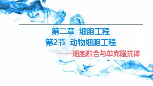 2.2.2 动物细胞融合与单克隆抗体-高二生物实践教学课件(人教版2019选择性必修3)