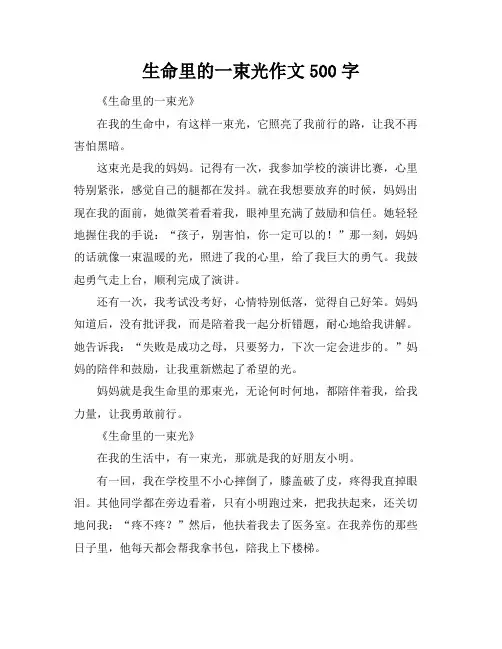 生命里的一束光作文500字