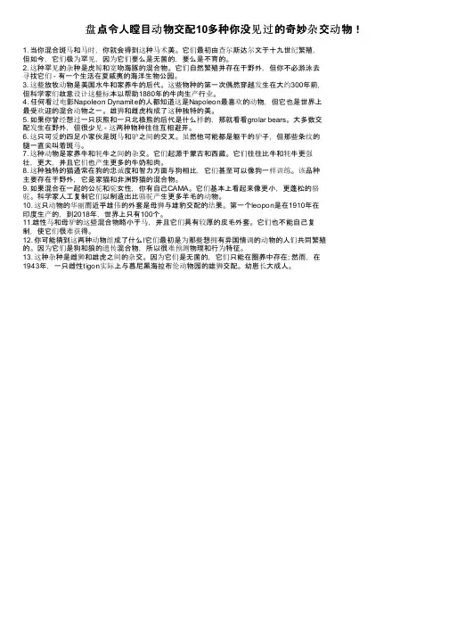 盘点令人瞠目动物交配10多种你没见过的奇妙杂交动物！