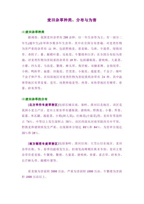 麦田杂草种类