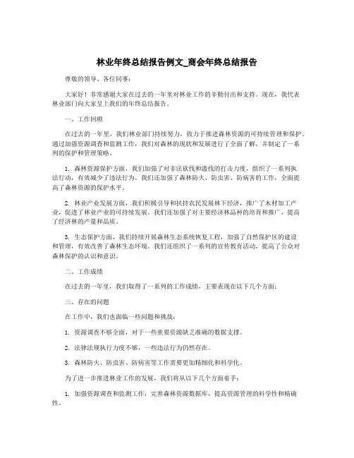 林业年终总结报告例文_商会年终总结报告