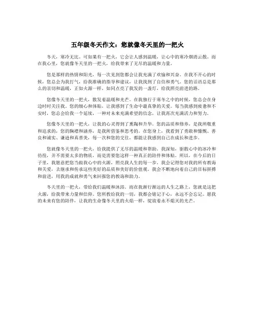 五年级冬天作文：您就像冬天里的一把火
