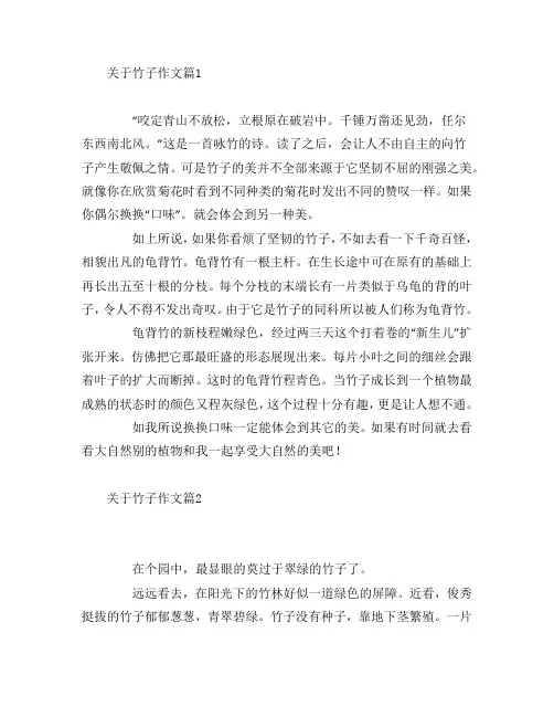 关于竹子作文8篇