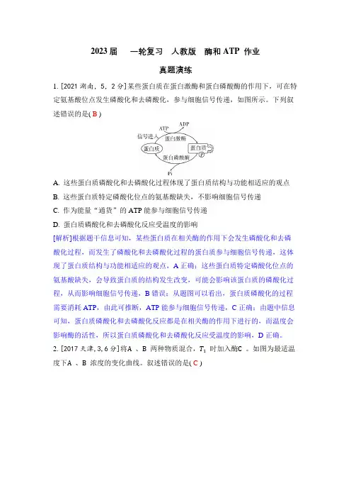 一轮复习  人教版 酶和ATP 作业