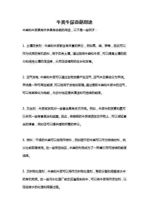 牛粪牛尿奇葩用途