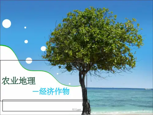 《经济作物》PPT课件