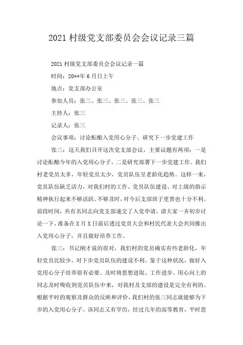 2021村级党支部委员会会议记录三篇