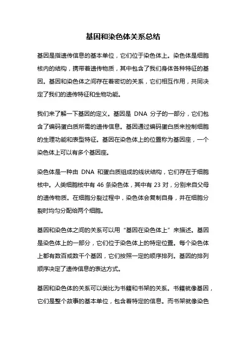 基因和染色体关系总结