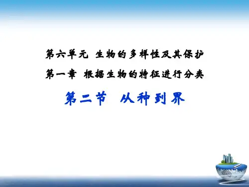 第二节从种到界课件人教版八年级生物上册