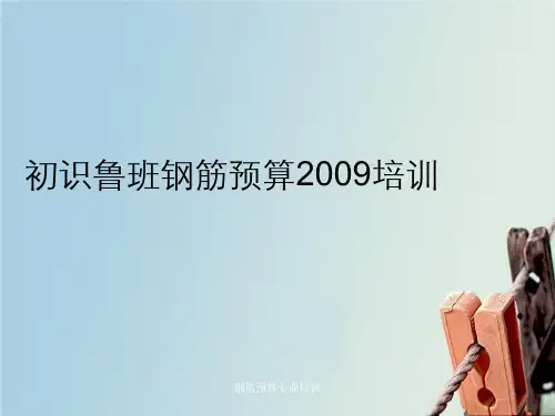 钢筋预算专业培训