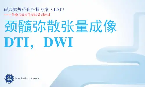 GE-1.5T-MR-颈髓DTI--规范化扫描方案