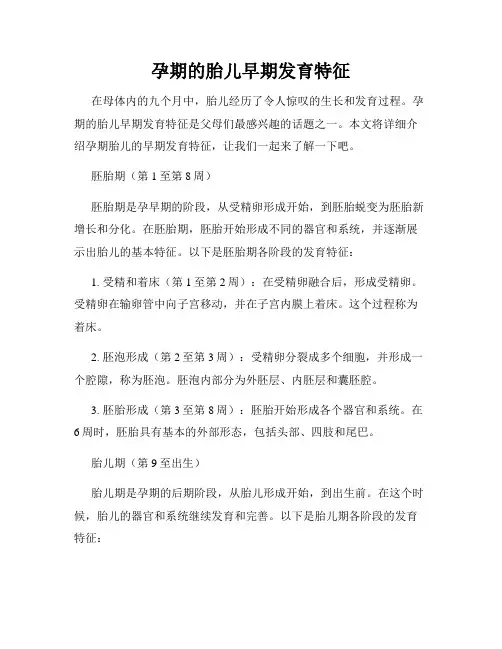 孕期的胎儿早期发育特征