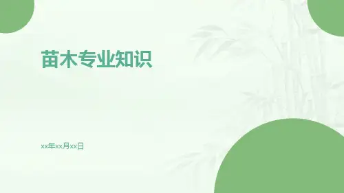 苗木专业知识