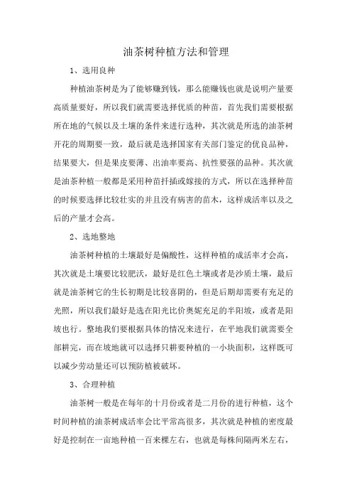 油茶树种植方法和管理