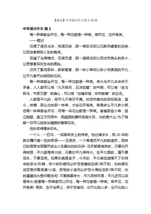【精品】中考满分作文集合10篇