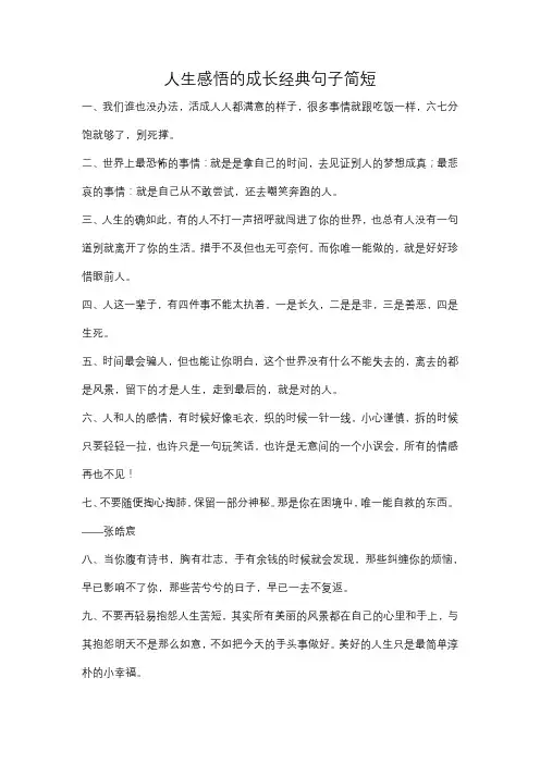 人生感悟的成长经典句子简短