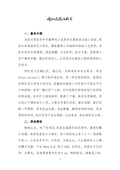西红花栽培技术