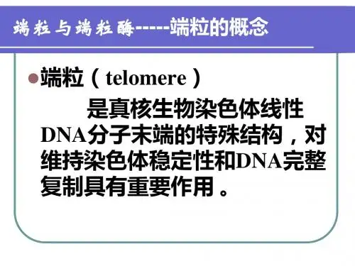 端粒端粒酶和肿瘤-精选文档