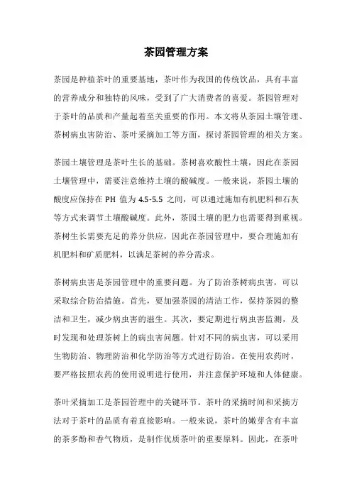 茶园管理方案