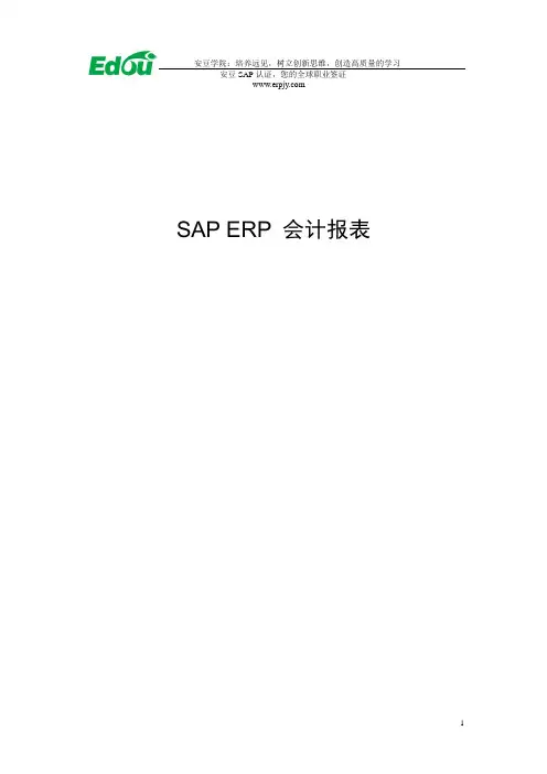 SAP ERP 会计报表