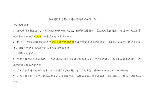 山水国际推广计划