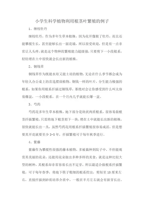 小学生科学植物利用根茎叶繁殖的例子
