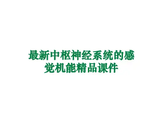 最新中枢神经系统的感觉机能精品课件
