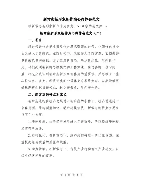 新常态新形象新作为心得体会范文