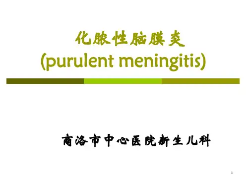 化脓性脑膜炎查房教学PPT课件