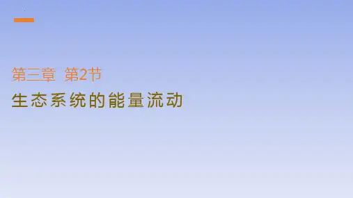 【课件】生态系统的能量流动课件-2022-2023学年高二上学期生物人教版(2019)选择性必修2