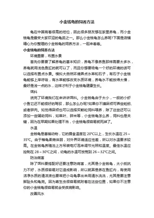 小金钱龟的饲养方法