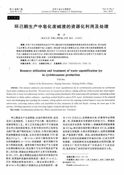 环己酮生产中皂化废碱液的资源化利用及处理
