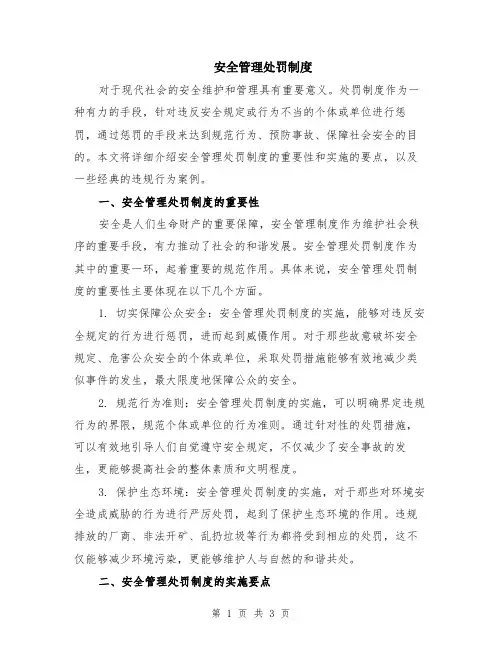 安全管理处罚制度