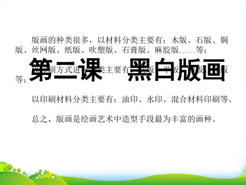 八年级美术下册 第二课 黑白世界课件 湘教版