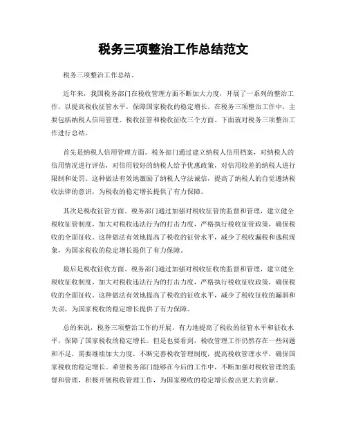 税务三项整治工作总结范文
