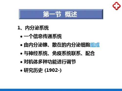 内分泌系统概述(人体解剖生理学)