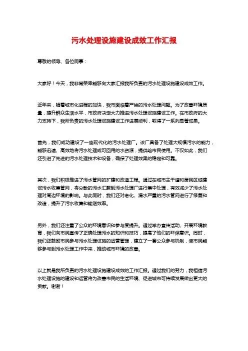 污水处理设施建设成效工作汇报