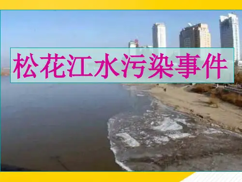 《松花江水污染事》完整版资料
